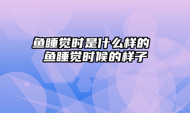 鱼睡觉时是什么样的 鱼睡觉时候的样子