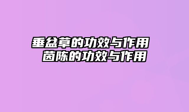 垂盆草的功效与作用 茵陈的功效与作用