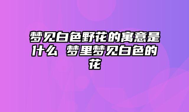 梦见白色野花的寓意是什么 梦里梦见白色的花