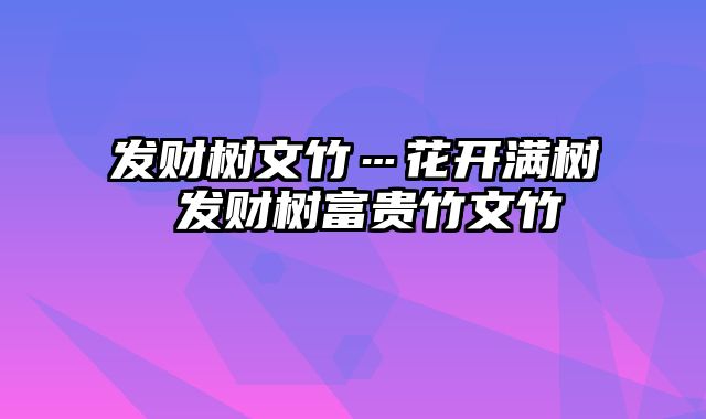 发财树文竹…花开满树 发财树富贵竹文竹