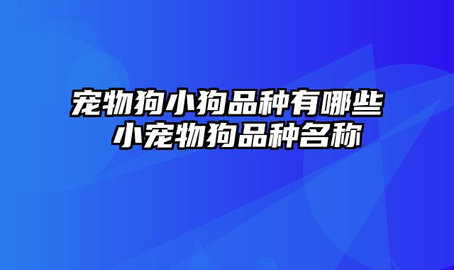 宠物狗小狗品种有哪些 小宠物狗品种名称