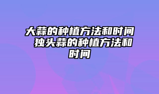 大蒜的种植方法和时间 独头蒜的种植方法和时间