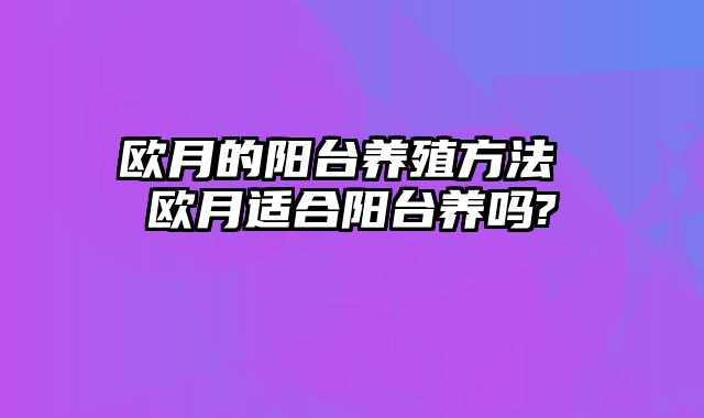欧月的阳台养殖方法 欧月适合阳台养吗?