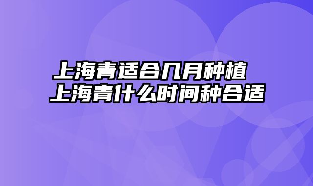 上海青适合几月种植 上海青什么时间种合适