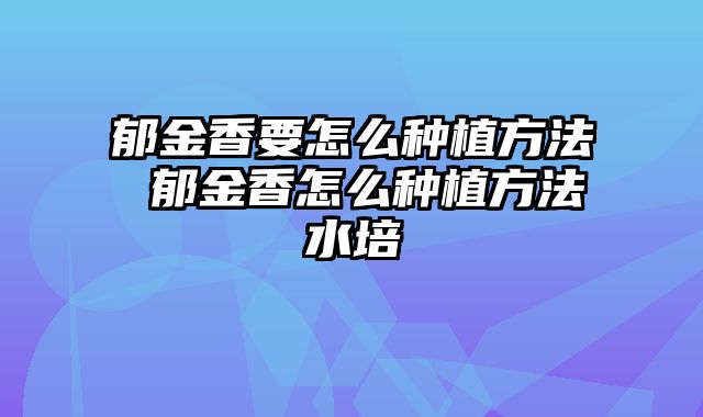 郁金香要怎么种植方法 郁金香怎么种植方法水培