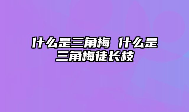 什么是三角梅 什么是三角梅徒长枝