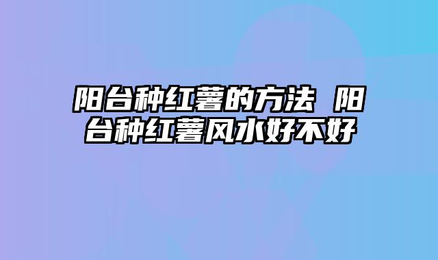 阳台种红薯的方法 阳台种红薯风水好不好