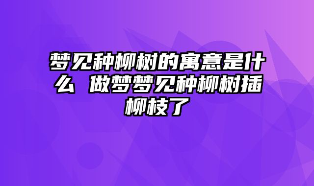 梦见种柳树的寓意是什么 做梦梦见种柳树插柳枝了
