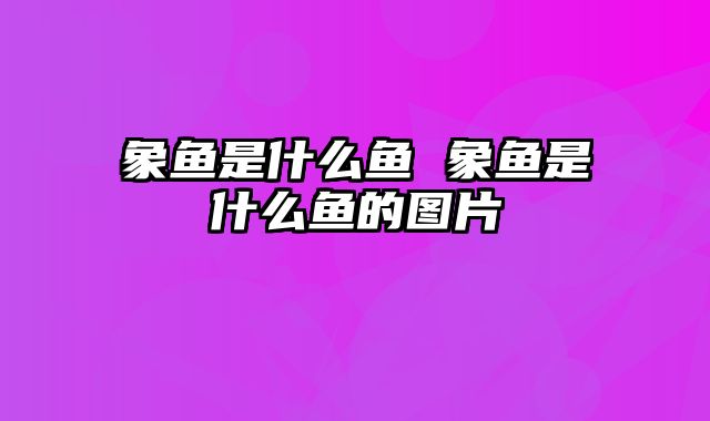 象鱼是什么鱼 象鱼是什么鱼的图片