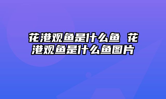 花港观鱼是什么鱼 花港观鱼是什么鱼图片