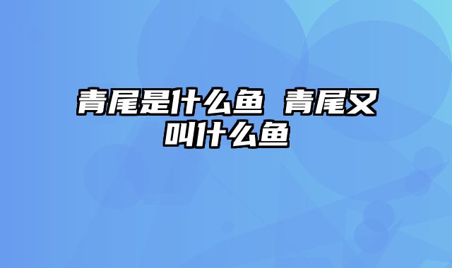 青尾是什么鱼 青尾又叫什么鱼