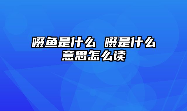 啜鱼是什么 啜是什么意思怎么读