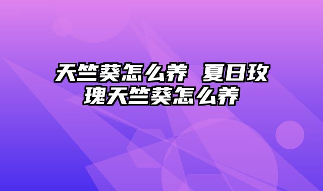 天竺葵怎么养 夏日玫瑰天竺葵怎么养