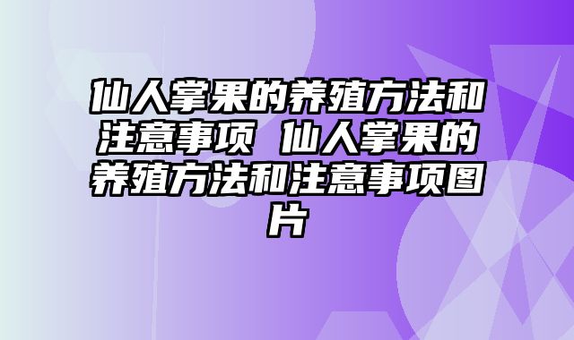 仙人掌果的养殖方法和注意事项 仙人掌果的养殖方法和注意事项图片