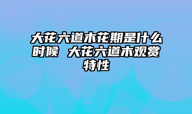 大花六道木花期是什么时候 大花六道木观赏特性