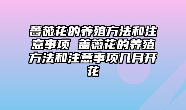 蔷薇花的养殖方法和注意事项 蔷薇花的养殖方法和注意事项几月开花