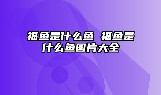 福鱼是什么鱼 福鱼是什么鱼图片大全