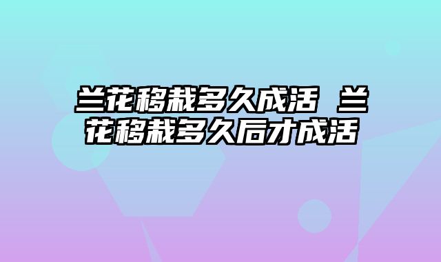兰花移栽多久成活 兰花移栽多久后才成活