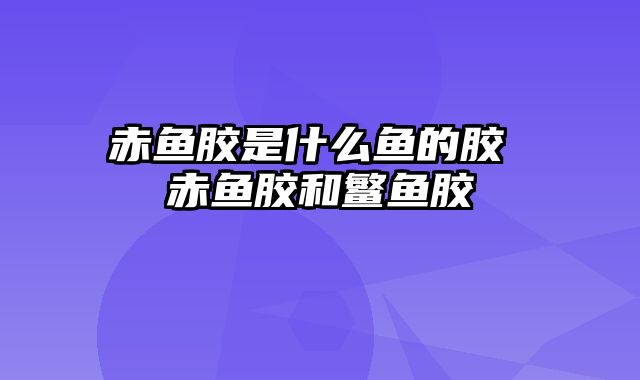 赤鱼胶是什么鱼的胶 赤鱼胶和鳘鱼胶