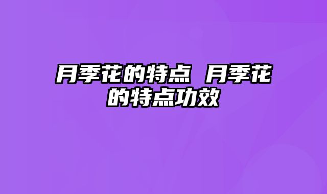 月季花的特点 月季花的特点功效