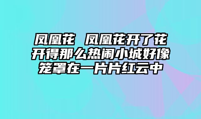 凤凰花 凤凰花开了花开得那么热闹小城好像笼罩在一片片红云中