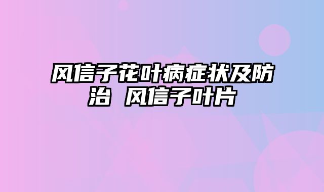 风信子花叶病症状及防治 风信子叶片