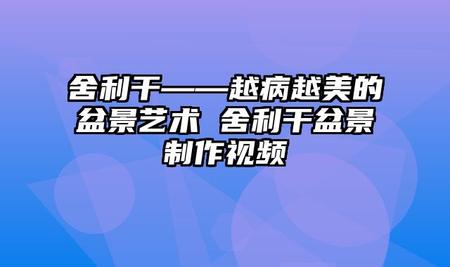 舍利干——越病越美的盆景艺术 舍利干盆景制作视频
