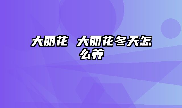 大丽花 大丽花冬天怎么养
