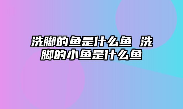洗脚的鱼是什么鱼 洗脚的小鱼是什么鱼