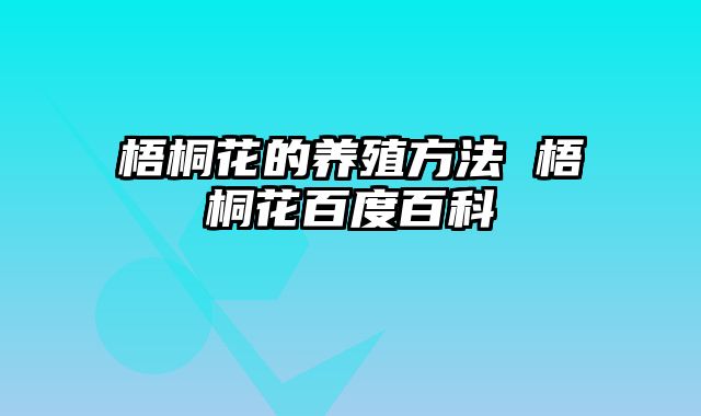 梧桐花的养殖方法 梧桐花百度百科