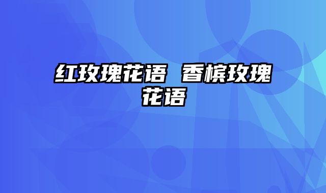 红玫瑰花语 香槟玫瑰花语