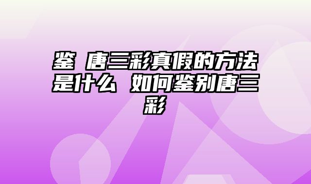 鉴別唐三彩真假的方法是什么 如何鉴别唐三彩