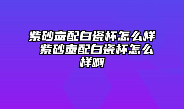 紫砂壶配白瓷杯怎么样 紫砂壶配白瓷杯怎么样啊