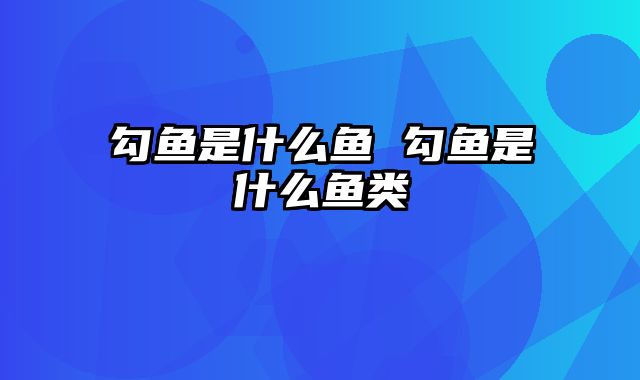 勾鱼是什么鱼 勾鱼是什么鱼类