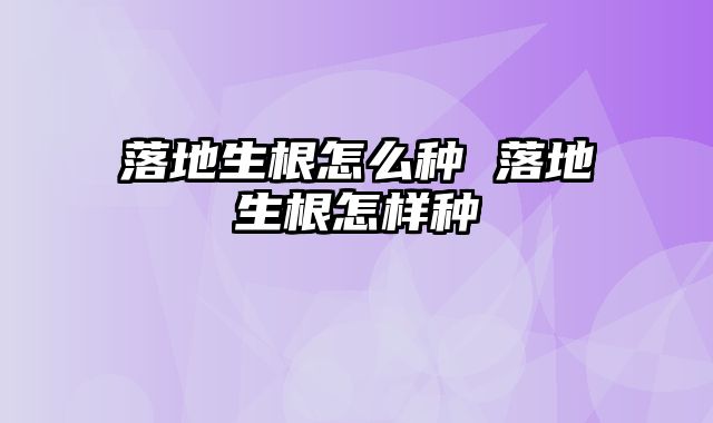 落地生根怎么种 落地生根怎样种