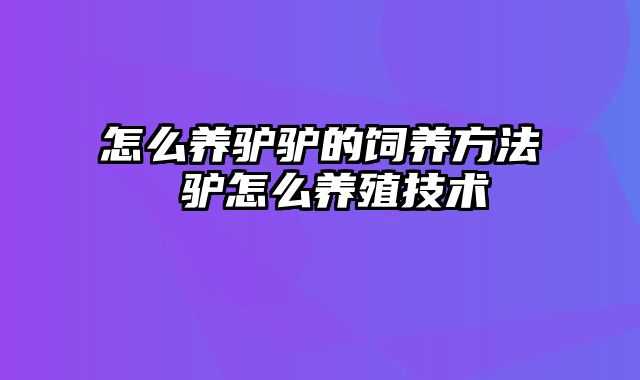 怎么养驴驴的饲养方法 驴怎么养殖技术