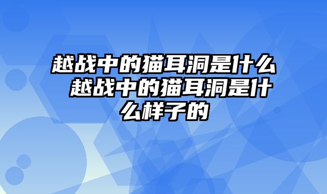 越战中的猫耳洞是什么 越战中的猫耳洞是什么样子的
