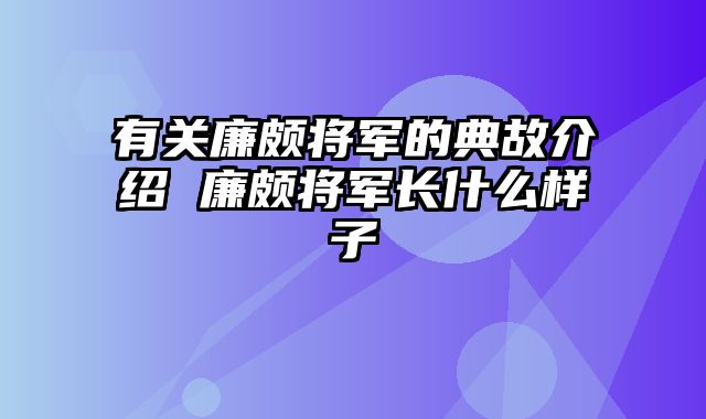 有关廉颇将军的典故介绍 廉颇将军长什么样子