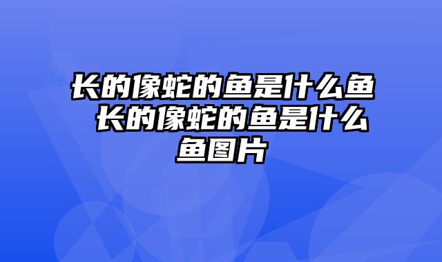 长的像蛇的鱼是什么鱼 长的像蛇的鱼是什么鱼图片