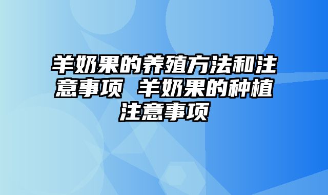 羊奶果的养殖方法和注意事项 羊奶果的种植注意事项