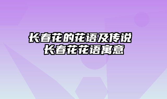 长春花的花语及传说 长春花花语寓意