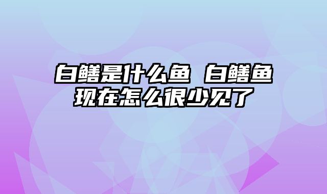 白鳝是什么鱼 白鳝鱼现在怎么很少见了