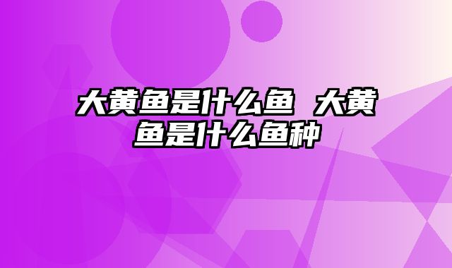 大黄鱼是什么鱼 大黄鱼是什么鱼种