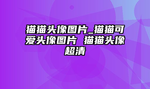 猫猫头像图片_猫猫可爱头像图片 猫猫头像超清