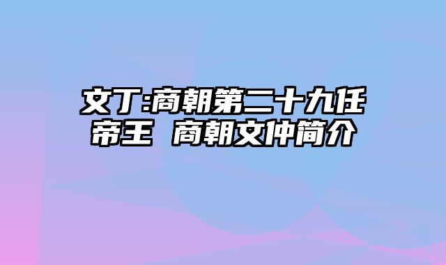 文丁:商朝第二十九任帝王 商朝文仲简介