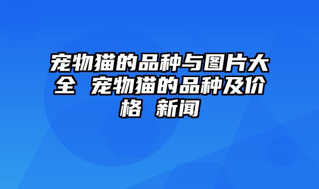 宠物猫的品种与图片大全 宠物猫的品种及价格 新闻