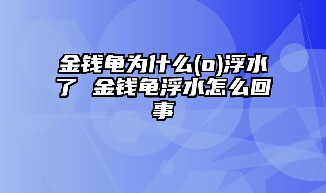 金钱龟为什么(o)浮水了 金钱龟浮水怎么回事