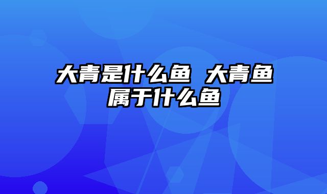 大青是什么鱼 大青鱼属于什么鱼