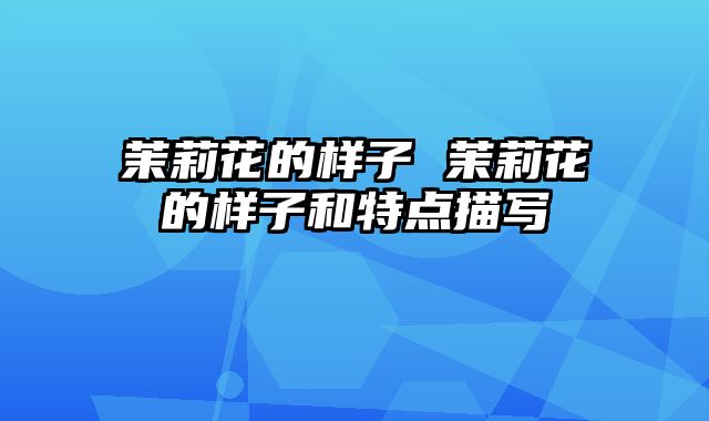 茉莉花的样子 茉莉花的样子和特点描写