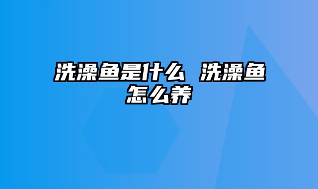 洗澡鱼是什么 洗澡鱼怎么养